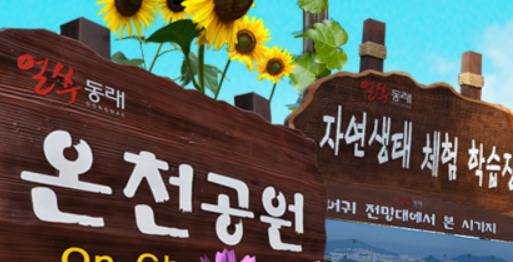 성예사 나무와 글씨
